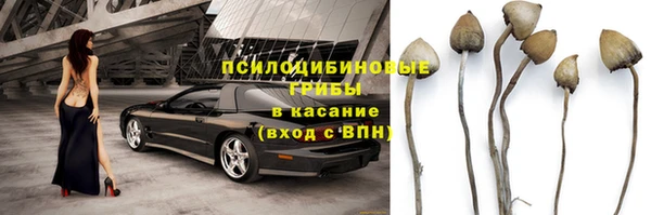 СК Болохово