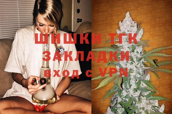 МДПВ Новозыбков