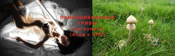 стафф Нея