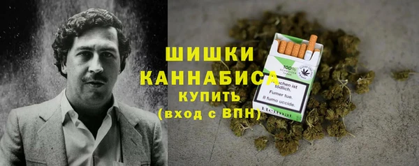 МДПВ Новозыбков