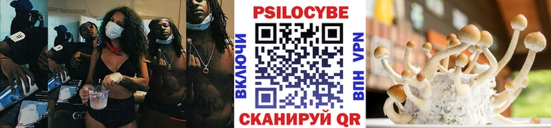 где купить   Суоярви  мега зеркало  Галлюциногенные грибы мицелий 